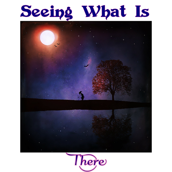 "SEEING WHAT IS THERE" - Spirit*Wise Wee*Book (digital)